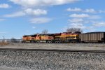 BNSF 8134/4020/KCS 4762